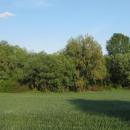 Siemianowice Slaskie Michalkowicka Kepa