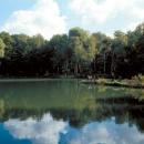 Siemianowice Śląskie-staw