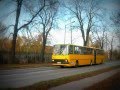 Siemianowice Śląskie - Michałkowice, autobusy komunikacji miejskiej na michałkowickich ulicach